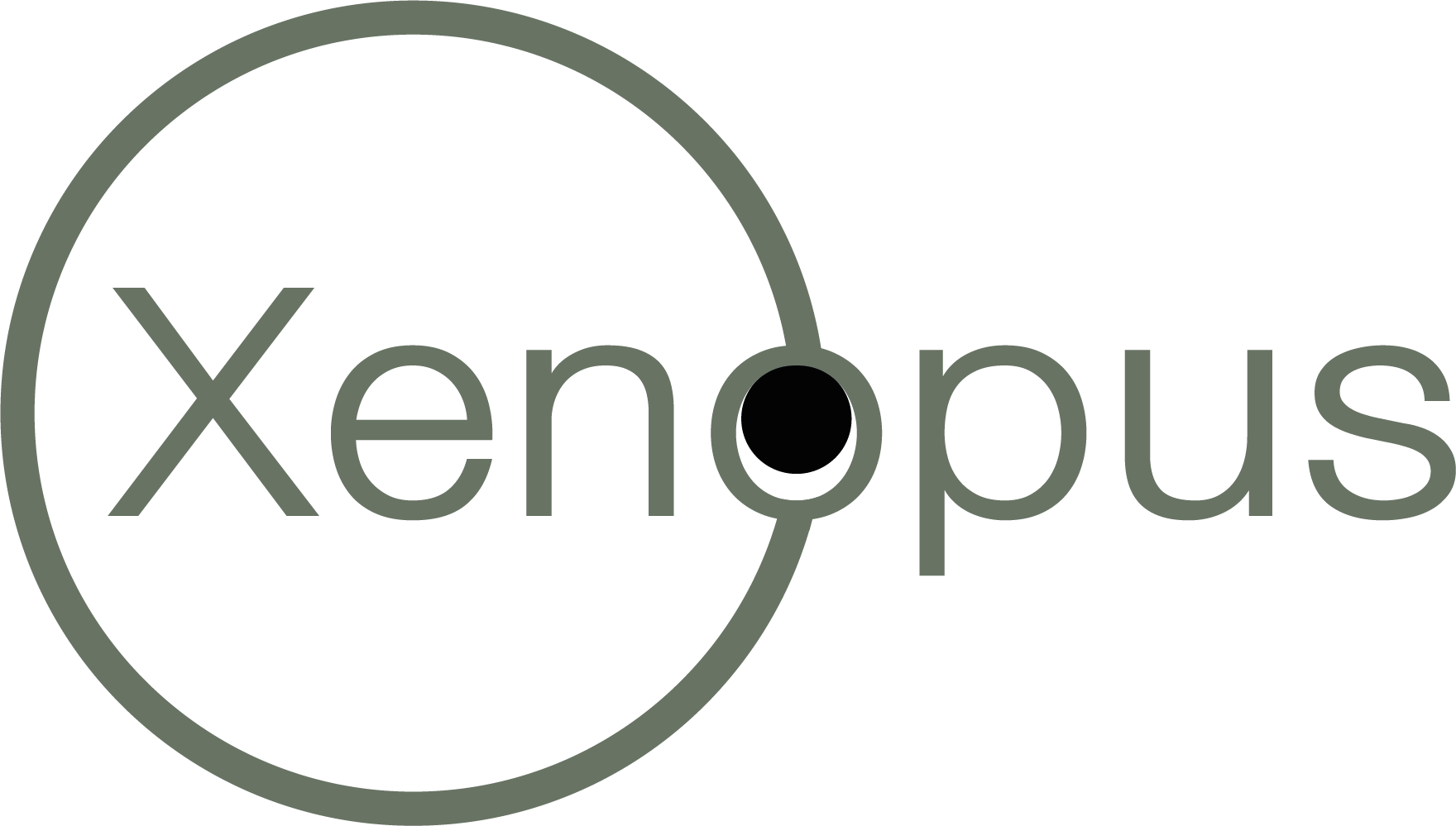 Xenopus Online Resource